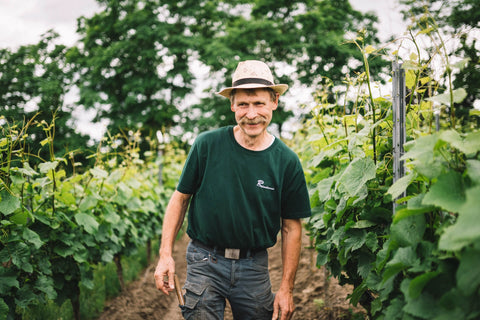 Joachim Ahl vom Weingut Wechsler Erben im Weinberg