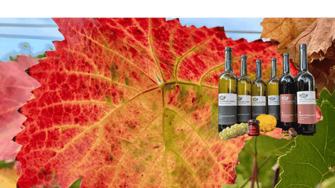 GOLDENER HERBST