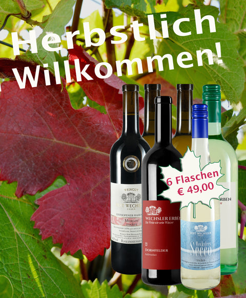 Herbstlich Willkommen