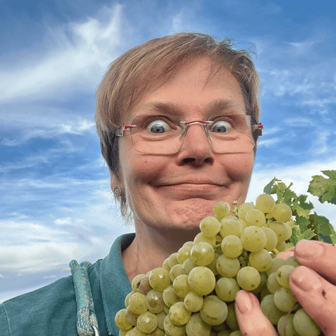 Goldener Herbst - 6er Weinpaket
