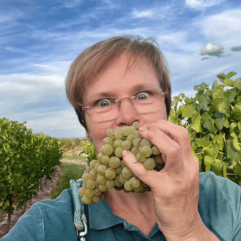Goldener Herbst - 6er Weinpaket