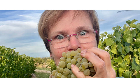 Alle suchen Pilze