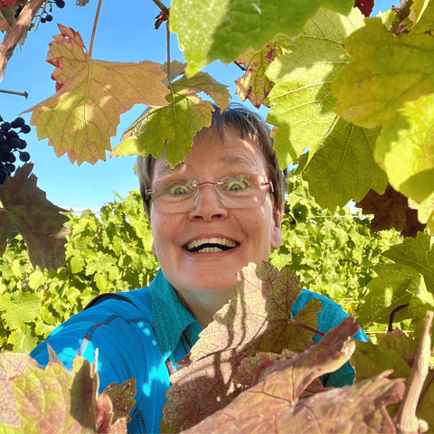 Goldener Herbst - 6er Weinpaket