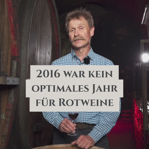 2016 Osthofener Hasenbiss Merlot